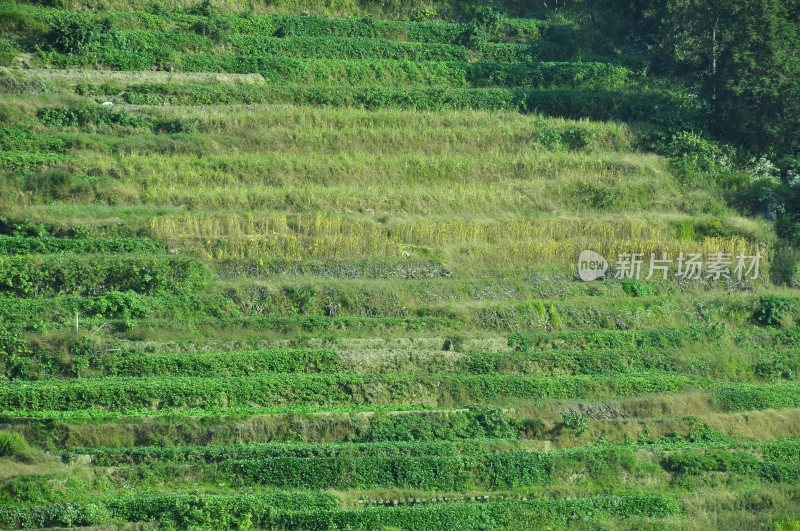 娄底风景 自然风光 风景名胜