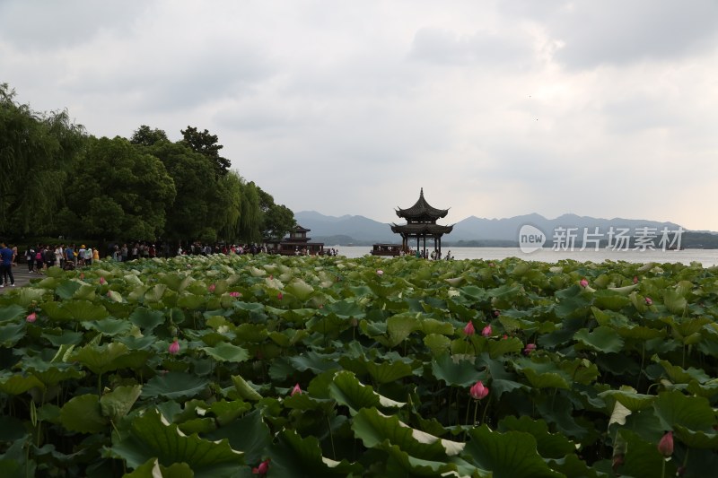 杭州风光 西湖风光