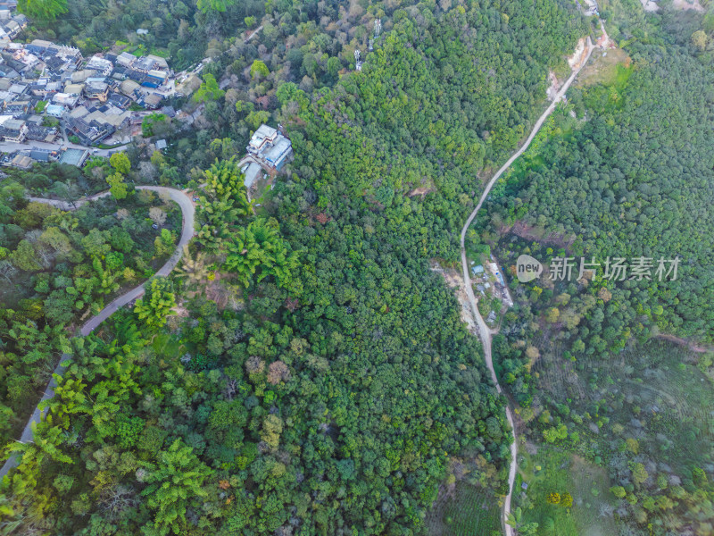 航拍被森林环绕的景迈山村庄全景