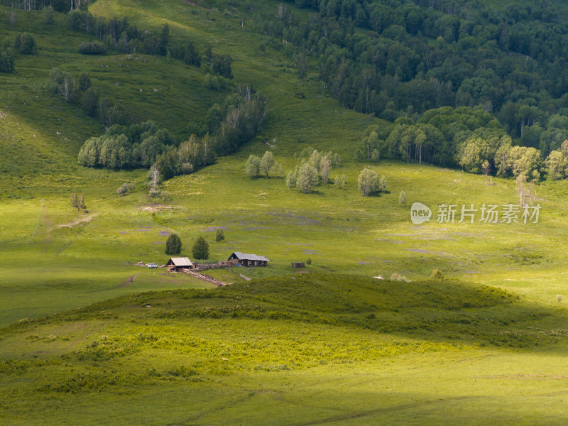 航拍夏天新疆禾木村草原上的小木屋