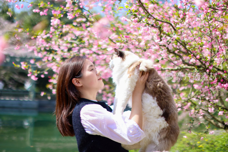 美女抱着宠物猫 春日赏花