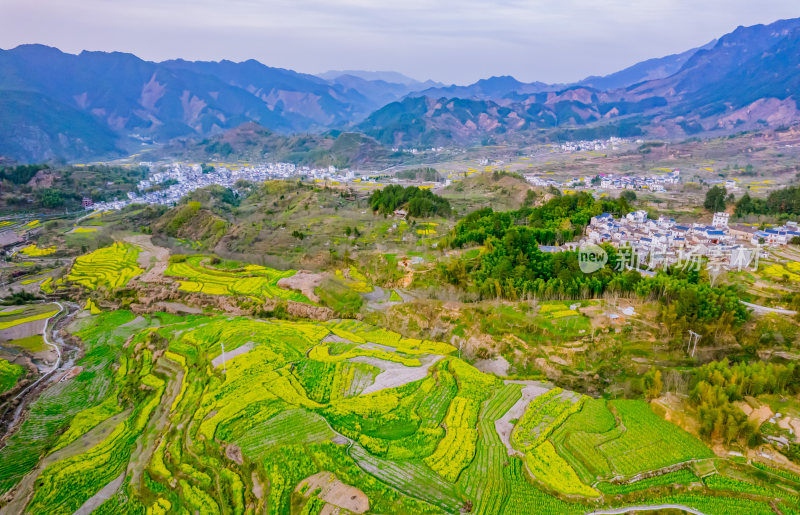 春日安徽宣城绩溪县梅干岭风光