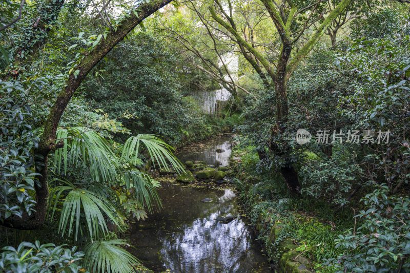 杭州三台山浙商总会风景