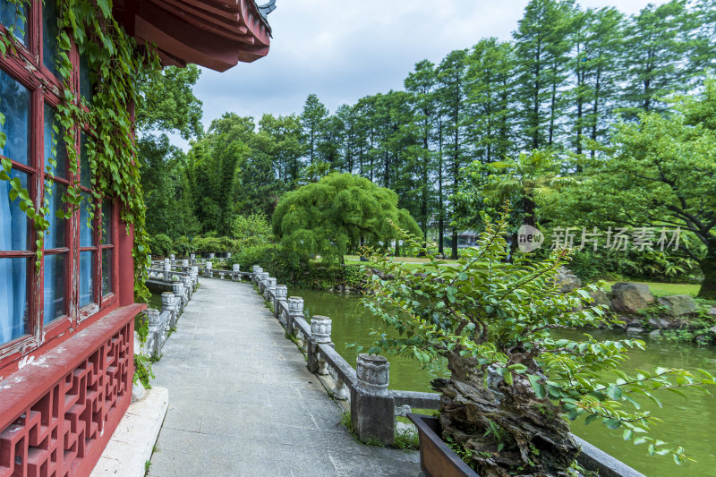 武汉东湖磨山景区盆景园