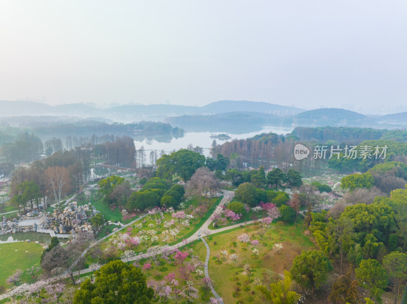 武汉东湖磨山梅园春季风光