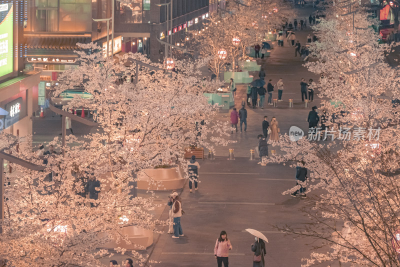 杭州湖滨樱花