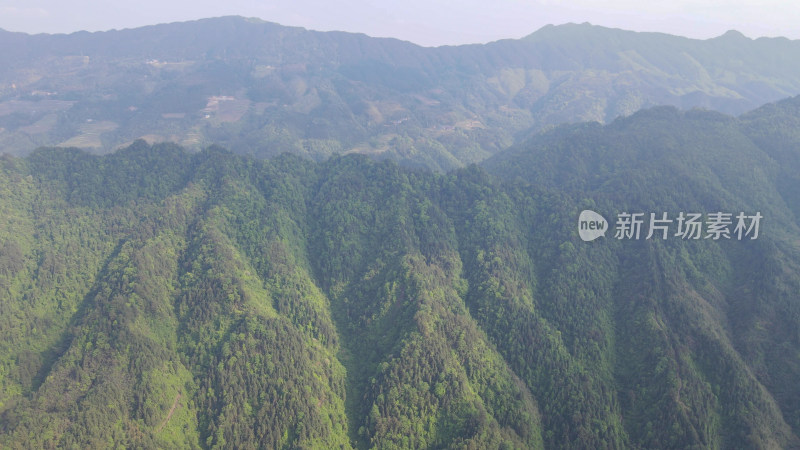 航拍高山森林树林