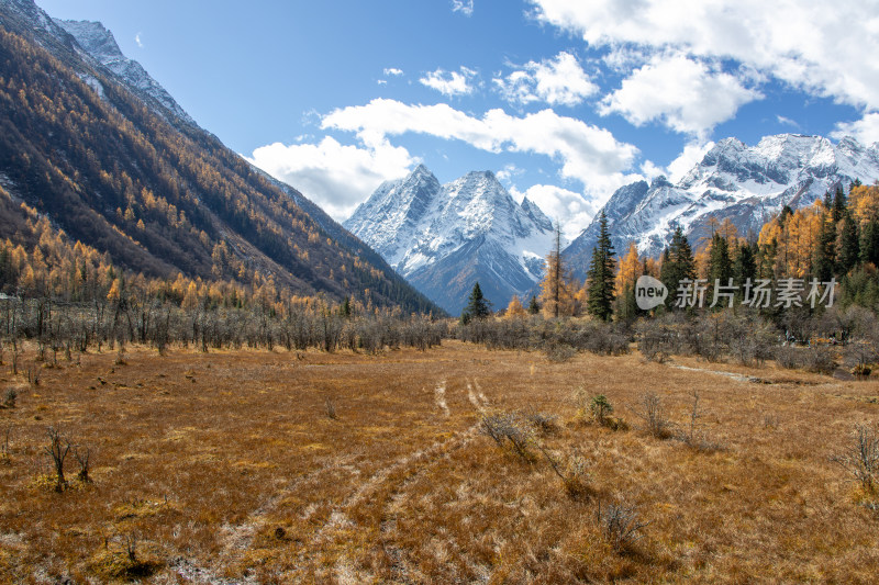 川西秋色雪山森林草地，四姑娘山双桥沟景区