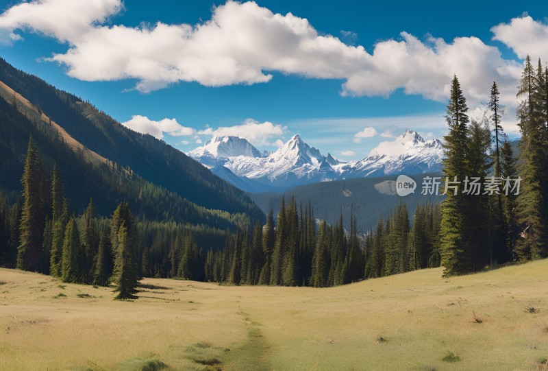 雪山高原草原森林风景