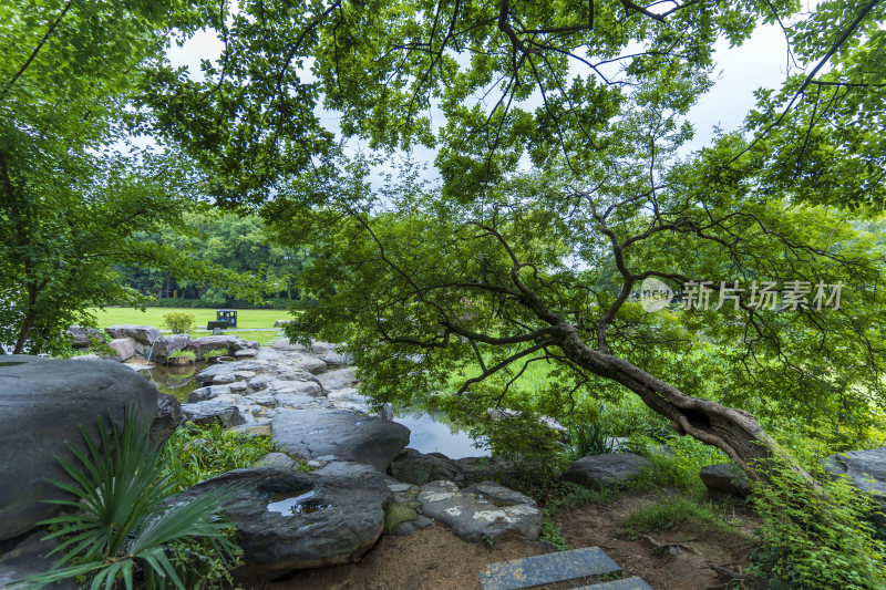 武汉东湖磨山景区风光