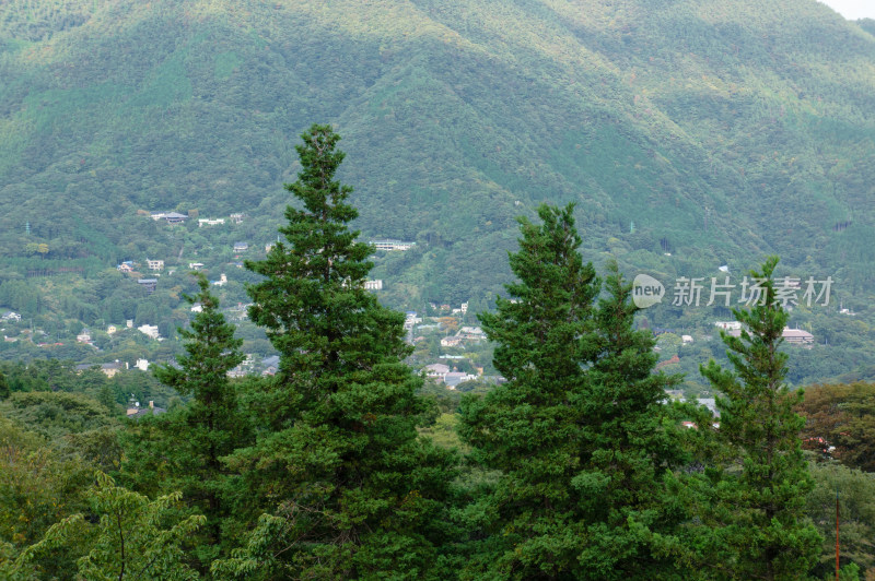 日本箱根景区山谷里的村庄