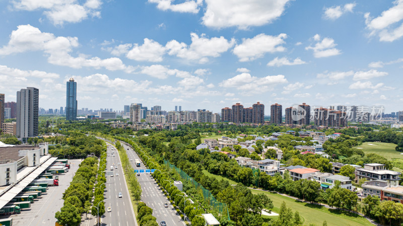 湖北武汉东西湖区金山大道城市风光