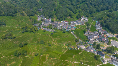 航拍杭州龙井村 西湖龙井茶园