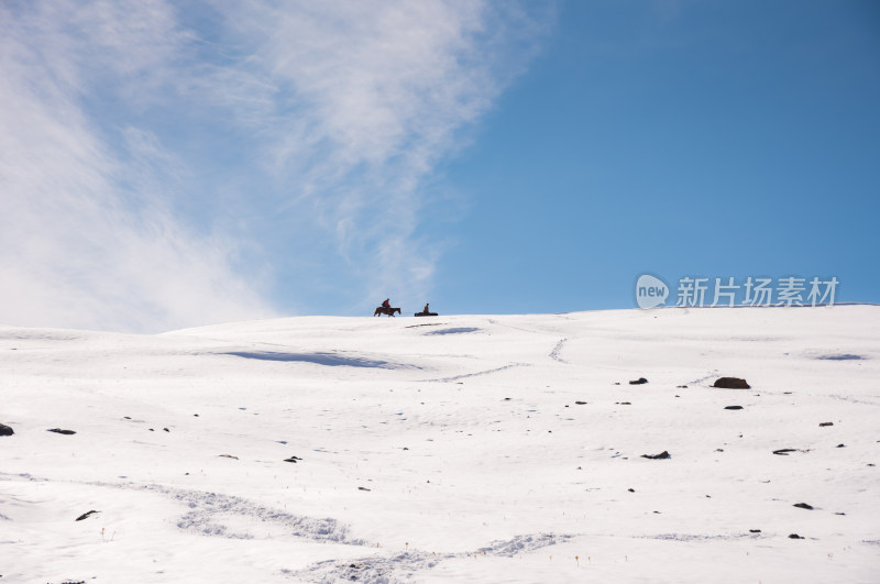 雪原上的牧马人