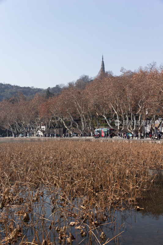 西湖湖面上的小船与远处宝石山的宝俶塔