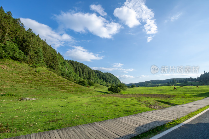 重庆市武隆区仙女山国家森林公园