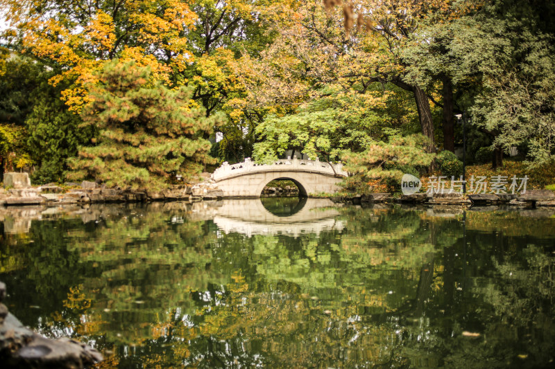 钓鱼 玉渊潭秋景