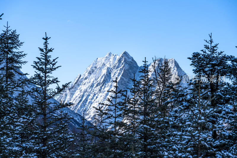 冬天的四姑娘山风景