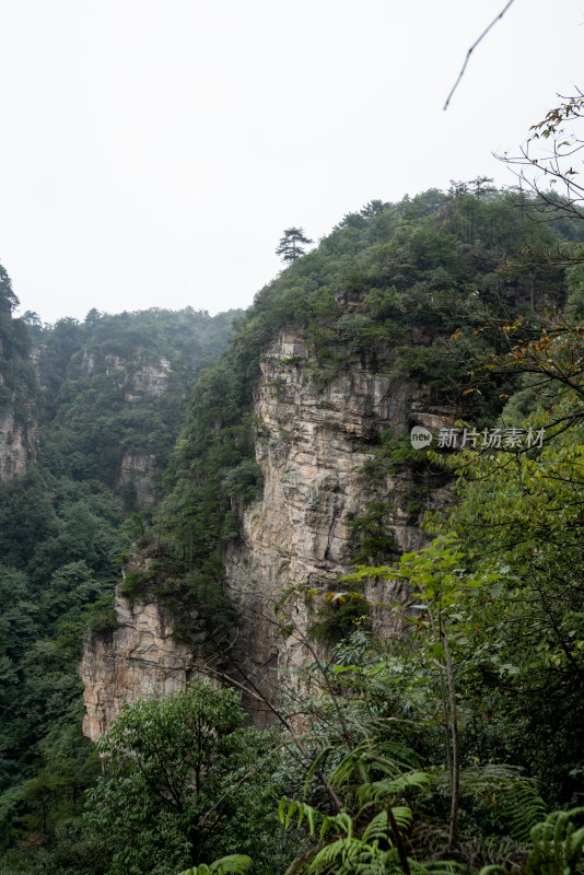 云雾缭绕的张家界奇峰异石景观