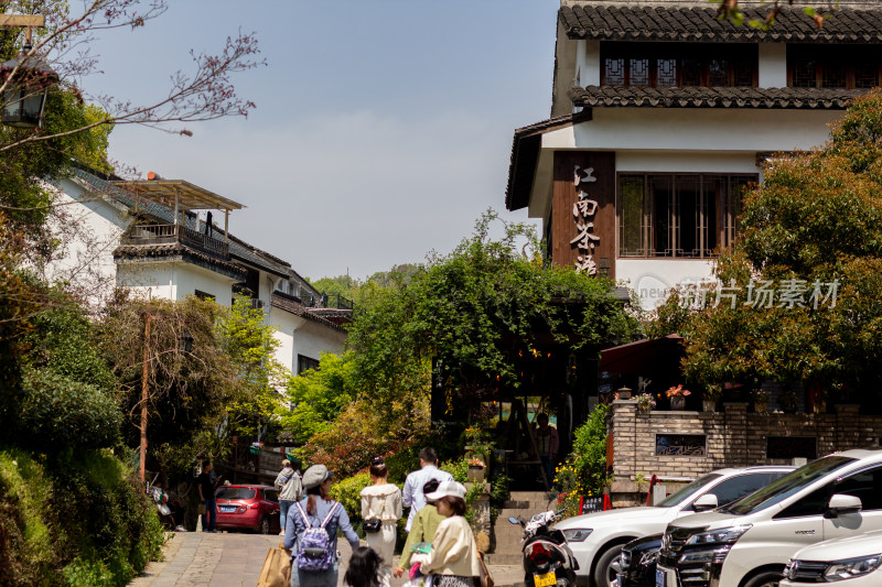 杭州杨梅岭绿意盎然的梯田式茶园