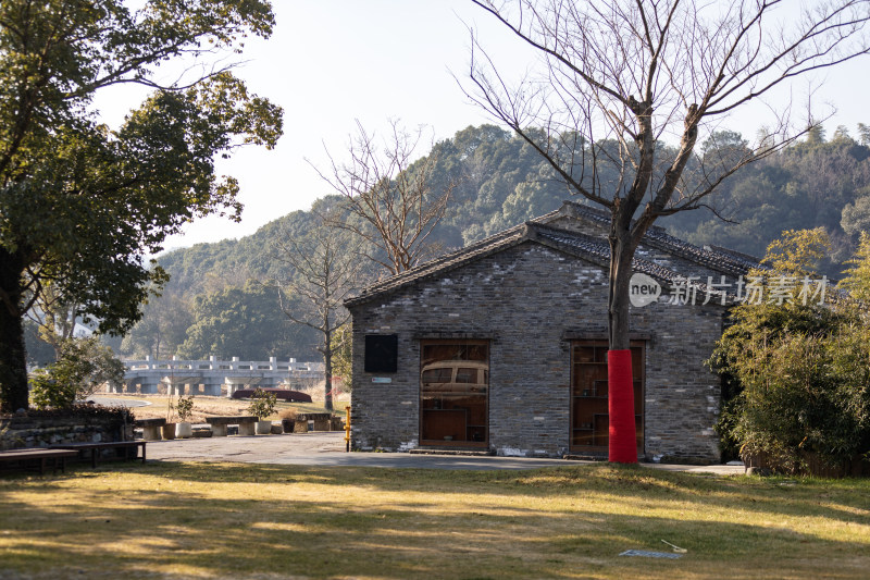 宁波东钱湖下水湿地钱湖秘境冬天景色