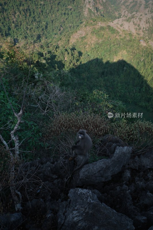 老挝万荣山地田野俯瞰风景