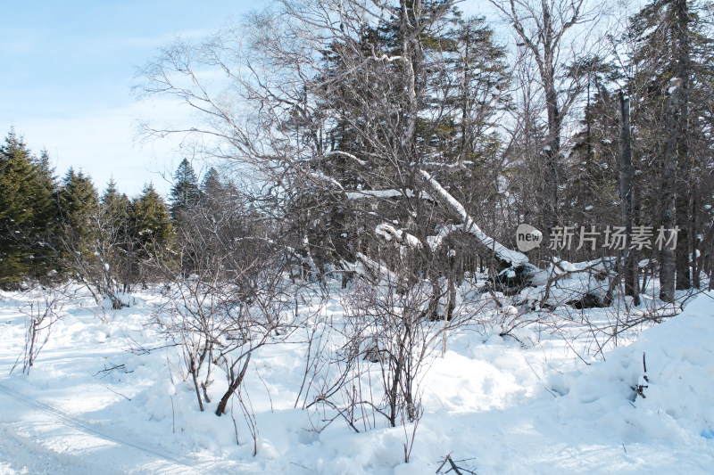 长白山雪岭冬日风光