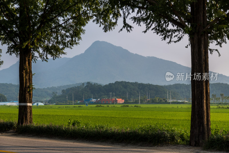 韩国南原乡村农田