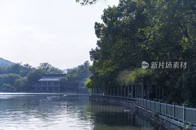 杭州西湖花港观鱼风景