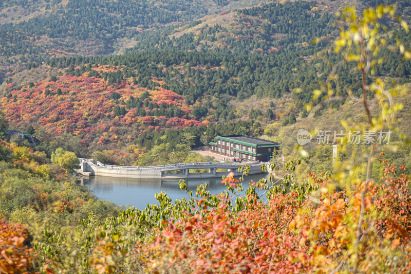 水电站水坝山区山林