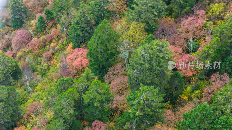 阿坝州黄龙风景名胜区秋色