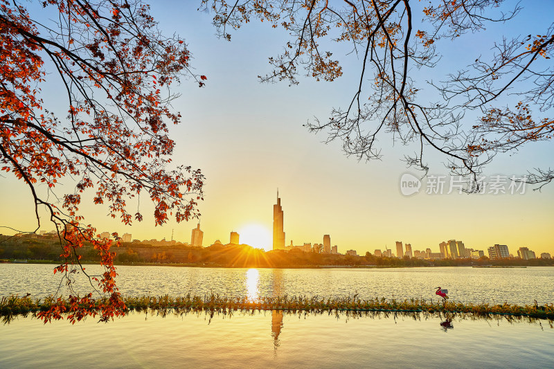 夕阳下的高楼大厦