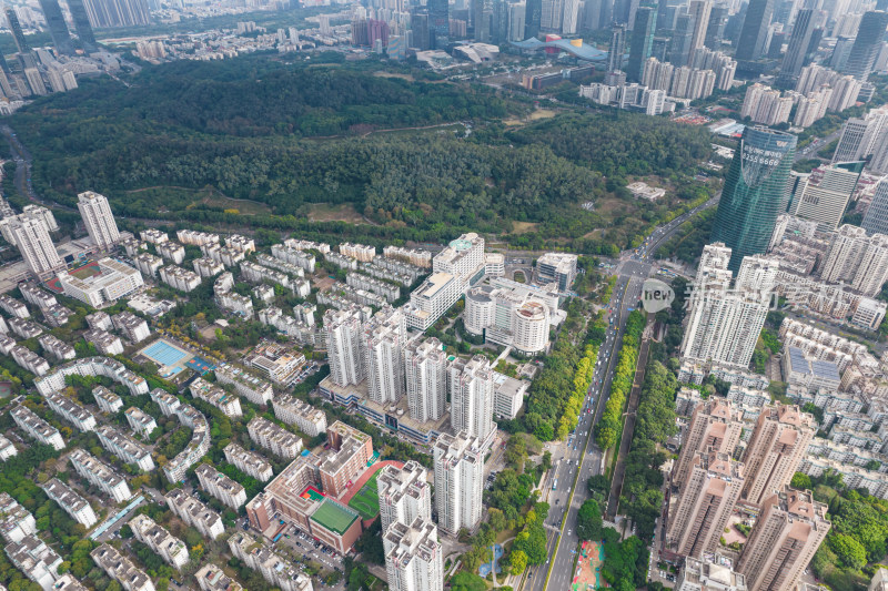 北京大学深圳医院