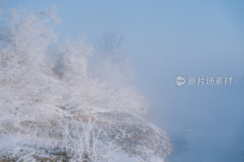 冬天吉林雾凇岛