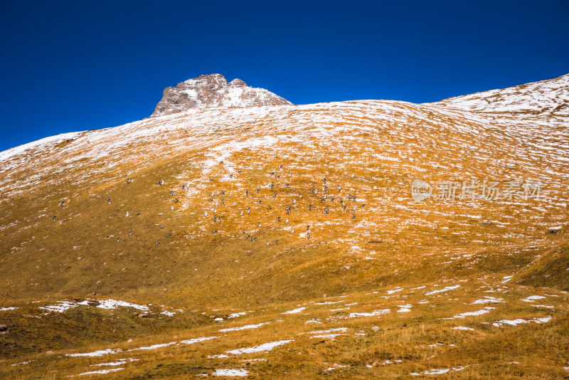 新疆天山山脉雪山山峰山脉