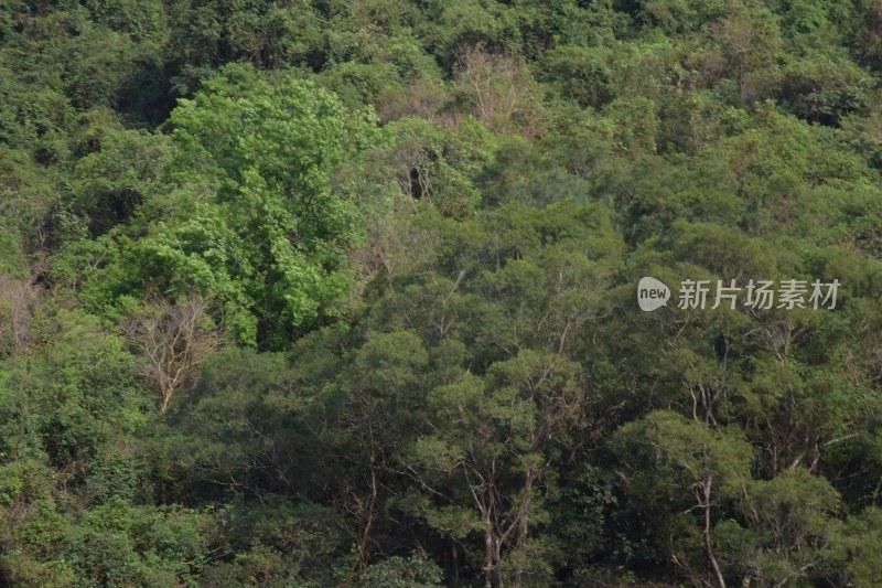 广东省东莞市银瓶山森林公园清溪景区