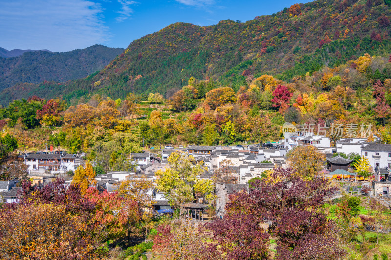 皖南秋色塔川国家森林公园