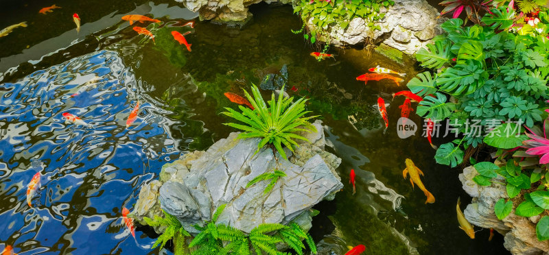 广州白天鹅宾馆内的园林景观