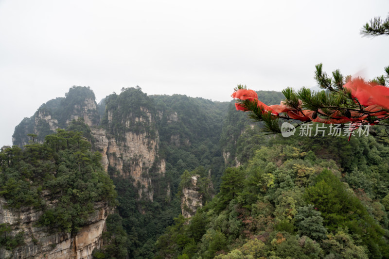 云雾缭绕的张家界奇峰异石景观