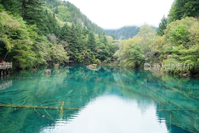 四川阿坝藏族羌族自治州九寨沟景区