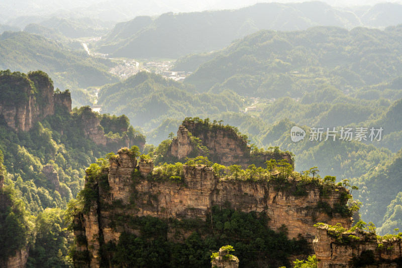 中国湖南张家界景区奇特山峰与茂密森林