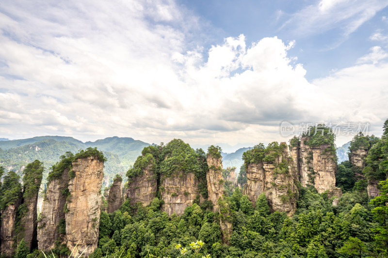 中国湖南张家界景区奇特山峰与茂密森林