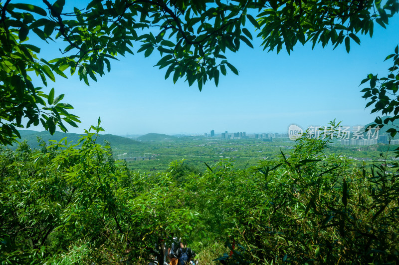 山中的自然风景