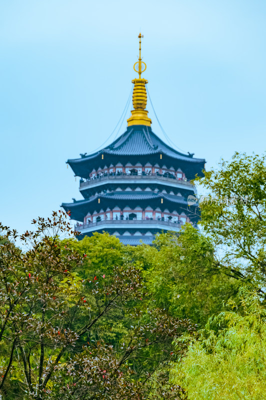 浙江杭州西湖风景名胜区雷峰塔秋景