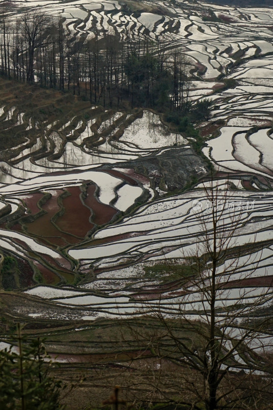 红河元阳梯田，大瓦遮梯田，日落时分