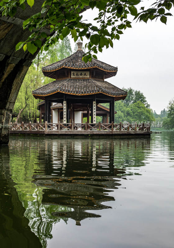 杭州西湖茅家埠黛色参天自然风景景观