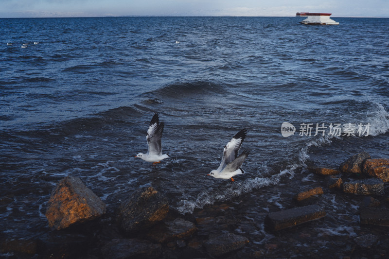 冬日青海湖