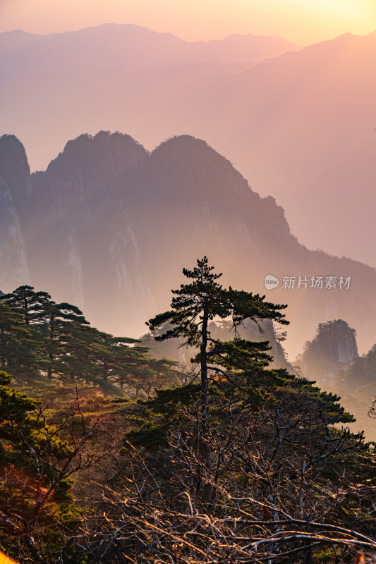 安徽黄山风景区自然风光