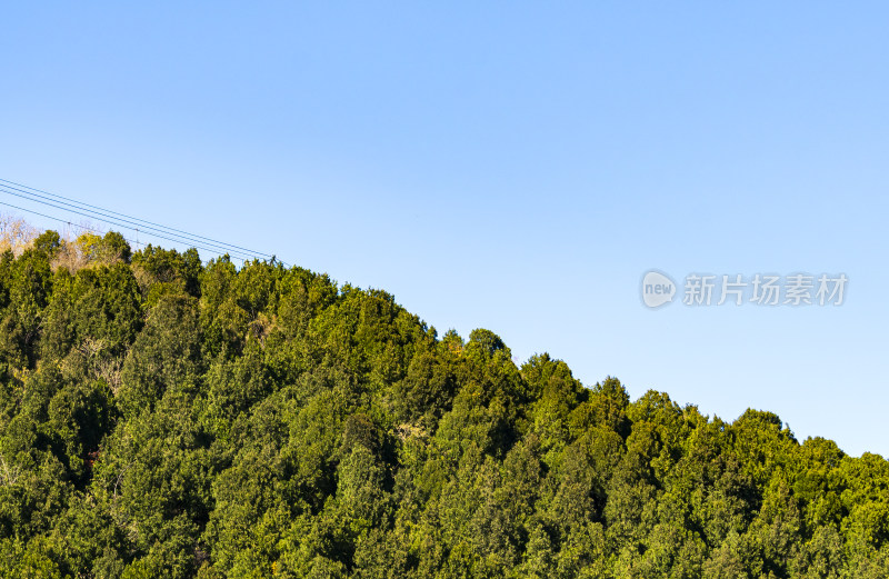 茂密山林植被覆盖的自然景观