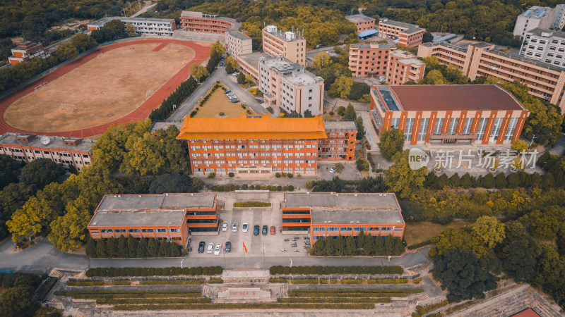 仰恩大学